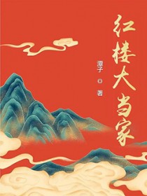 [红楼梦同人] 红楼大当家